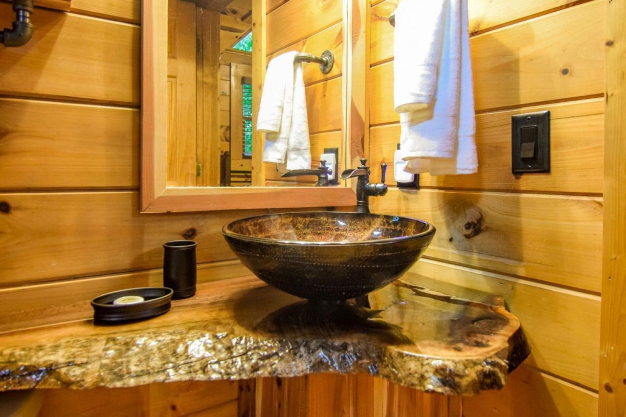 Beary Cozy Cabin Сев'єрвілл Екстер'єр фото